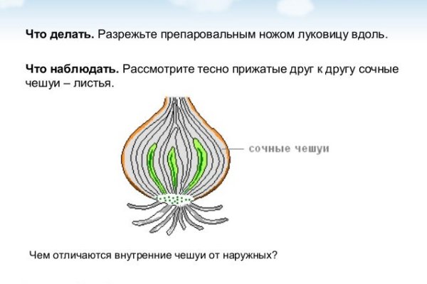 Онион магазин blacksprut adress com