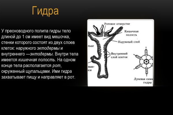 Блэк спрут вход в личный кабинет