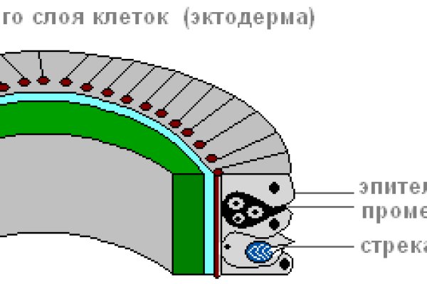 Обойти 2фа блэкспрут